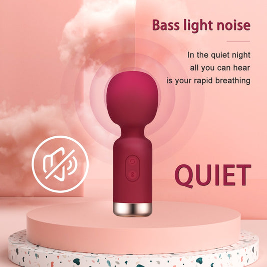 Silent Vibrator - small portable